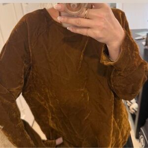 Vintage WHYCI Brown Velvet Long Sleeve Top
